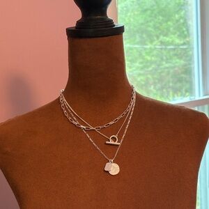 J. Crew Silver Layered Necklace